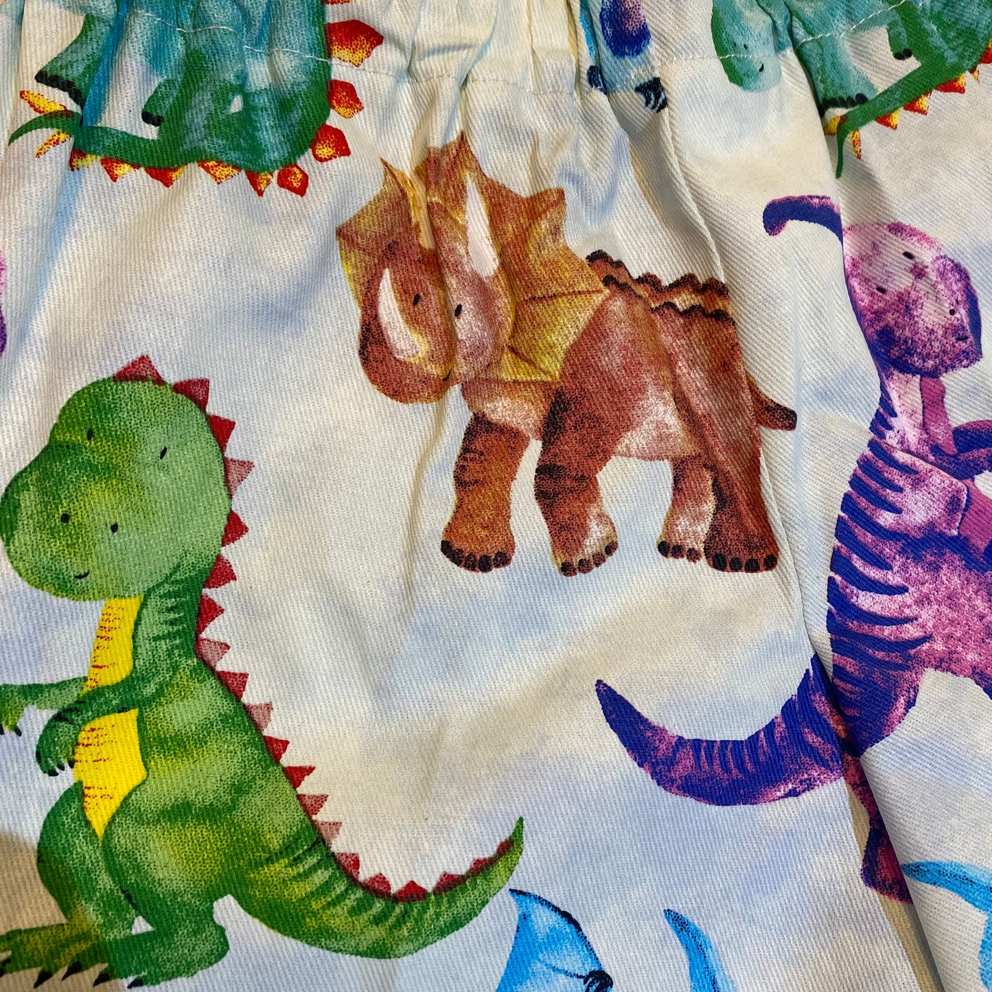 Shorts - Bright Coloured Dinosaurs with Anglaise Hemline and Elastic Waist